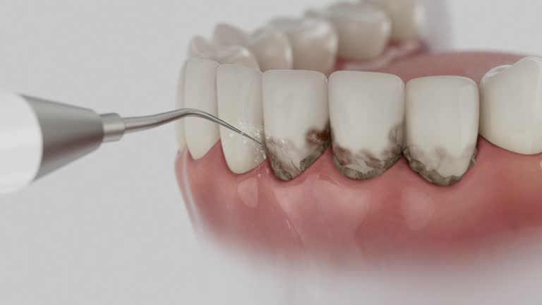 Reliable Dental contractor in Thief River Falls, MN by Dentist Open Now